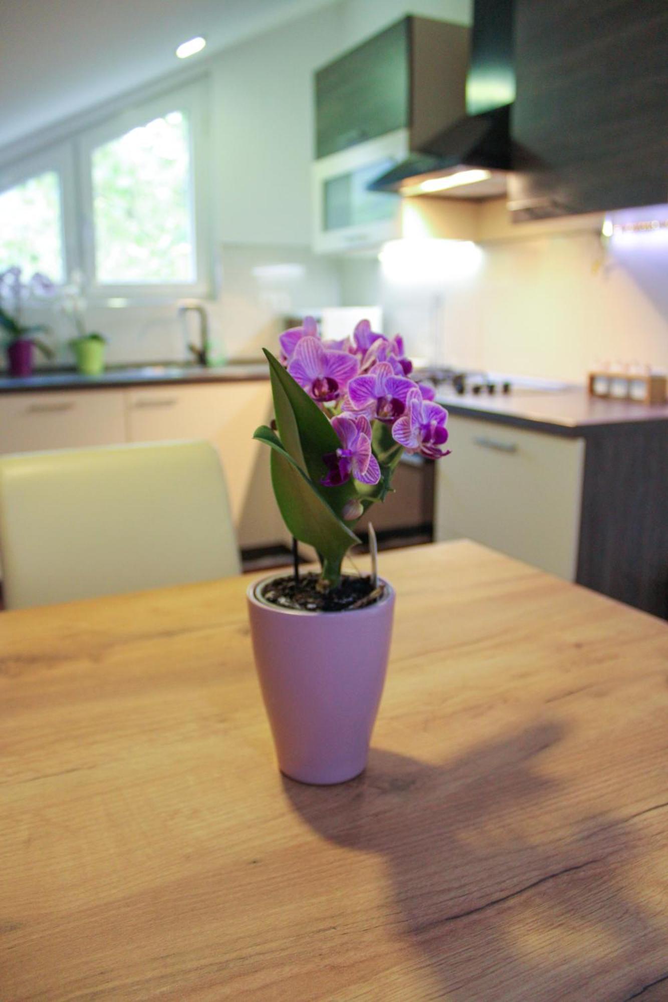 Apartman Nadja&Dani Kulen Vakuf Esterno foto